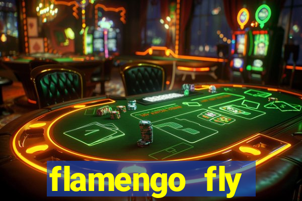 flamengo fly emirates ultimas noticias